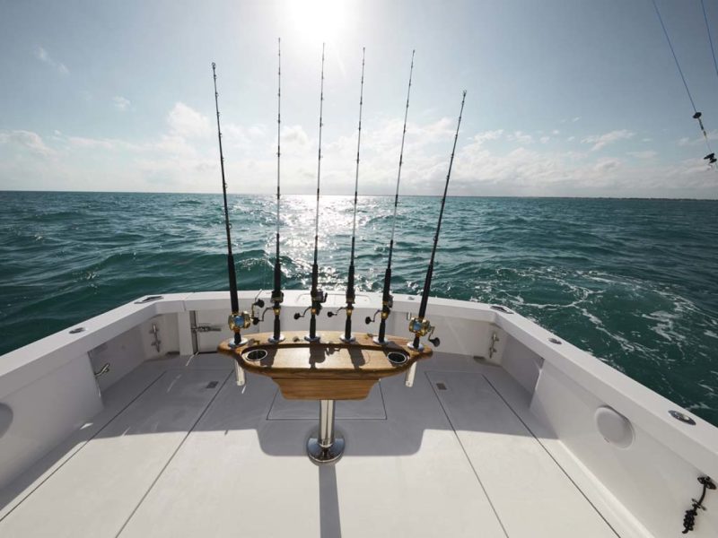 Fishing for Salmon, Rockfish, or Lingcod