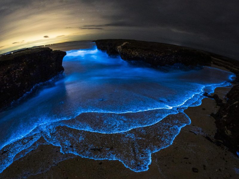 Bioluminescence Overnight Yachtstay