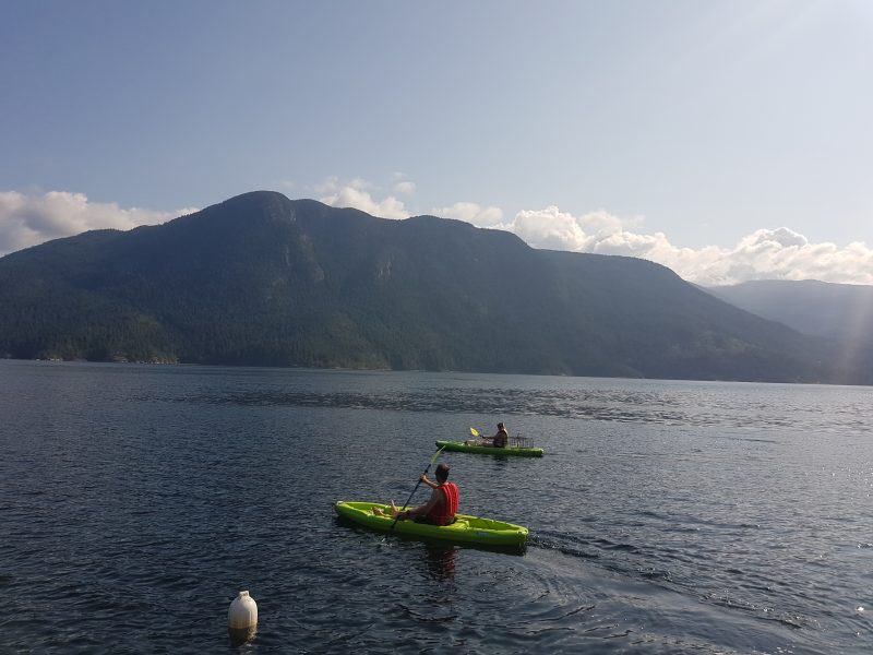 Skookumchuk Rapids Tour and Salmon Inlet