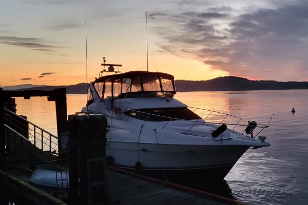 WhatsApp Image 2026-04-16 at 16.28.48 WhatsApp Image 2026-04-16 at 16.28.48